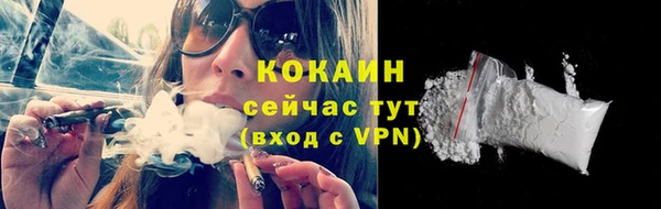 стафф Каменка