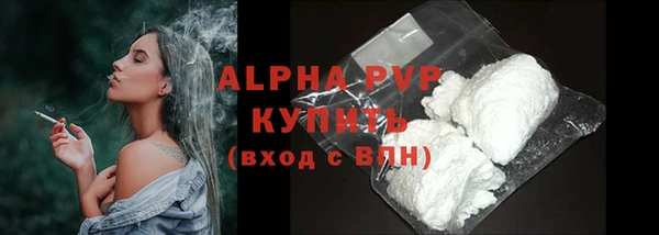 стафф Каменка