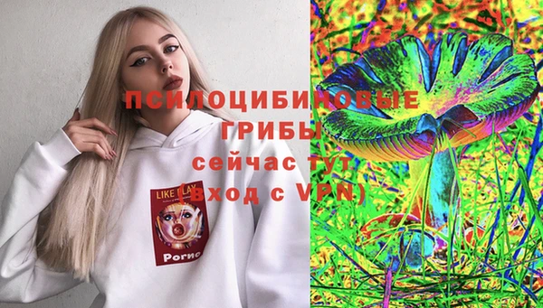 стафф Каменка