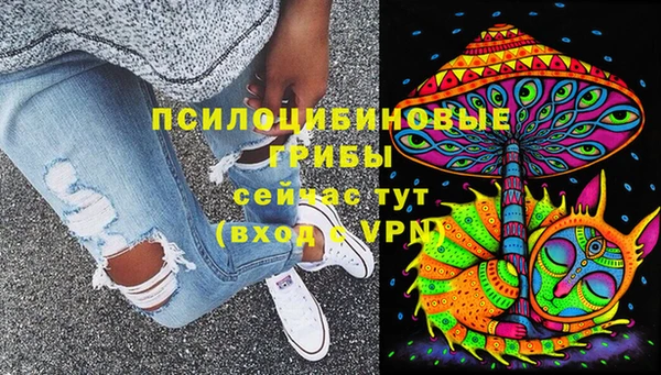 стафф Каменка