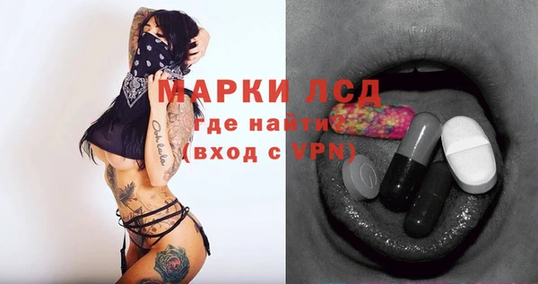 стафф Каменка